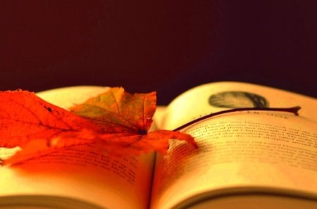 THE MAPLE LEAF - pages, autumn, book, leaf, maple