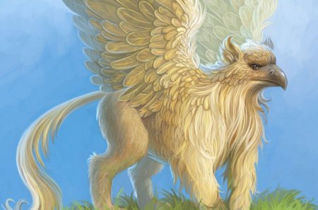 Griffin - griffin, fantasy, cg, creature