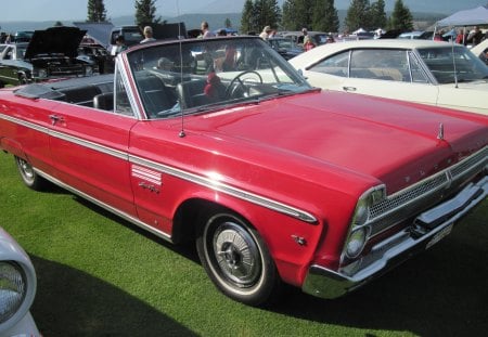 1969 Plymouth sport Fury III Convertible - trees, tires, headlights, photography, grass, black, Plymouth, red, green