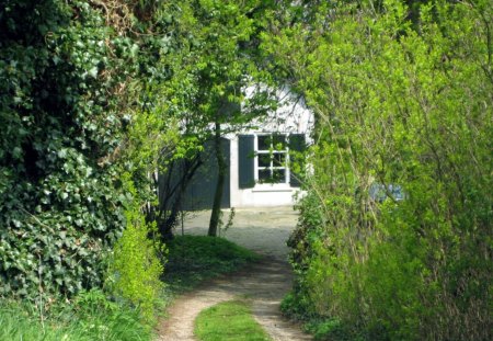 Hidden house - white, houses, architecture, green, tree, house, path