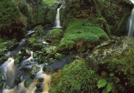 cascading falls in the remote gough island - waterfalls, cascade, moss, plants, rocks