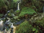 cascading falls in the remote gough island