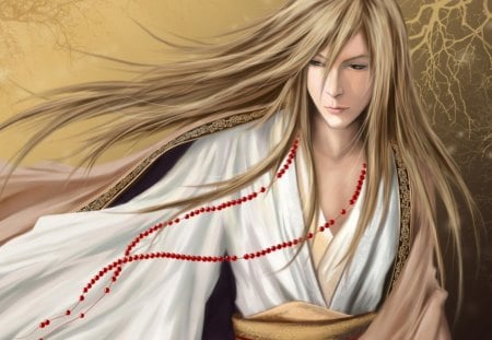 The wind - warrior, necklace, wind, art, blonde hair, game, boy, man, red