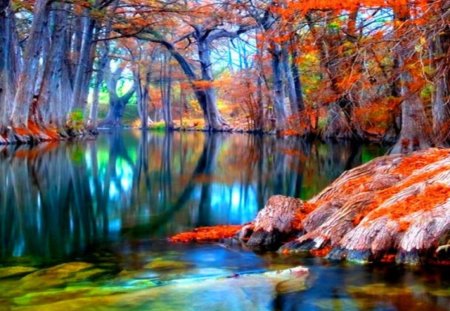 Autumn - trees, water, withered, reflection, leaves, nature, autumn, red, lake