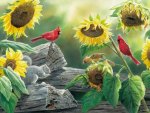 CARDINALS AND SUNFLOWERS