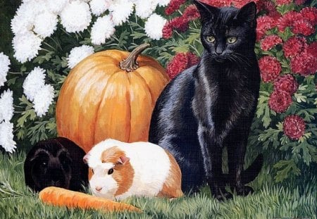 BLACKIE AND BUNNY - flowers, rabbit, pumpkin, cat