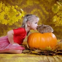 friends with the pumpkin