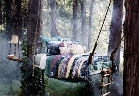 Here Comes the Sun.... - tree, forest, nature, bed