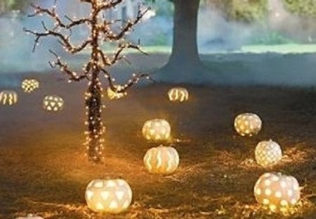 Glowing pumpkins - nature, backyard, glowing, pumpkin