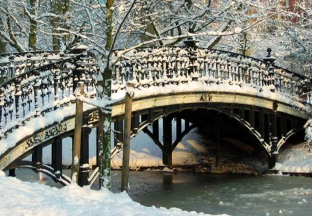 Frozen Bridge - freze, river, ice, trees, winter, cold, snow, bridge