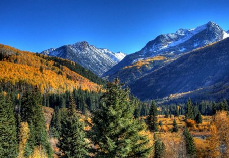 Alpine Landscape - nature, sky, autumn, landscape, alpine, mountain, forest, blue