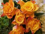 Sweet Yellow Roses