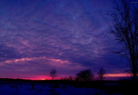 Red Sunset - clouds, sunset, nature, red, field, tree, sun