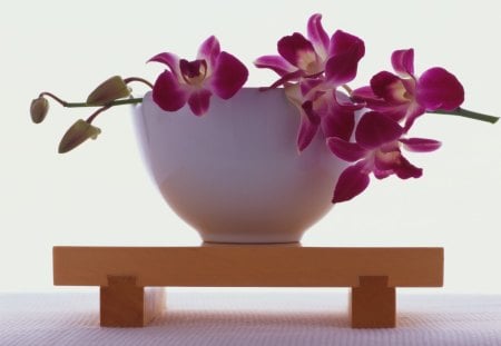 Heart of Healingâ™¥ - orchids, love, heart, bowl, fashion, healing, floral arrangement, entertainment, white, purple, electric pink, forever, table