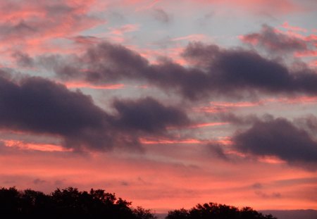 Dawn - sky, trees, dawn, clouds