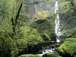 elowah falls columbia river gorge oregon