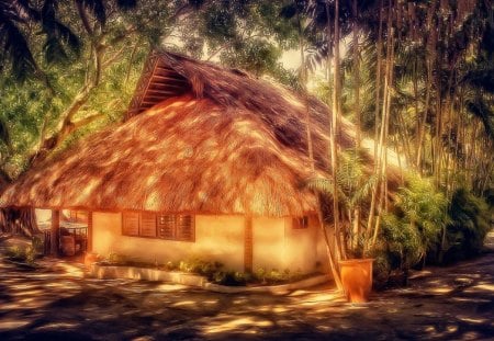 lovely island hut hdr - palms, hut, sun, hdr