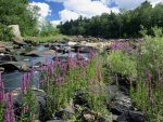 chequamegon national forest wisconsin