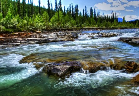 outstanding river scape - river, forest, rocks, crisp