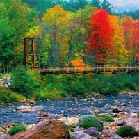 River bridge