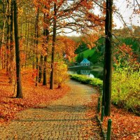 Autumn in park