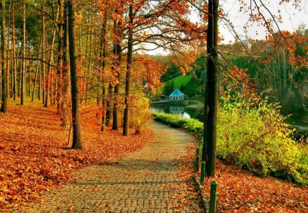 Autumn in park - autumn, riverbank, cottahe, water, stream, colorful, path, lieaves, creek, foliage, fall, reflection, river, house, lake, falling, park, bushes, nature, forest, leaves, cal, stones, colors, cabin