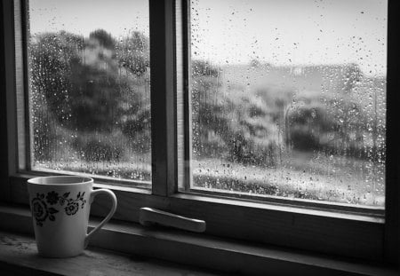 Rainy Sunday - sunday, rainy, window, cup