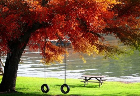 Autumn Tranquility - fall, swings, river, bench, grass