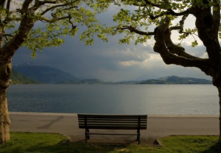 Face to face with nature - storm, clouds, nature, lake, tree, dark