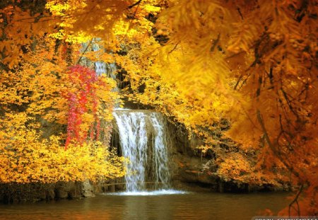 Amazing Autumn Waterfalls - autumn, falls, trees, daylight, day, water, waterfalls, limbs, nature, forest, yellow, river, leaves, orange, colors