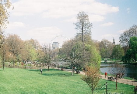 London Parklife - grass, london, trees, parks