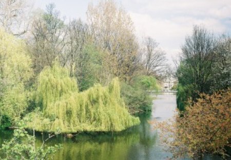 Park Lake - city, trees, lakes, parks