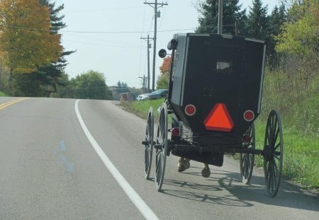 Amish Country - carriage, horse and buggy, amish, amish country, horse, yoder