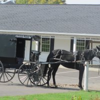 Amish Country