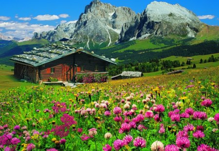 Lovely place in mountain - pretty, summer, cabin, amazing, grass, mountain, calmness, flowers, fresh, cliffs, nice, place, cottage, sky, clouds, house, greenery, mountainscape, beautiful, snowy, slope, lovely, freshness, peaks, wooden, green, serenity, floral, peaceful