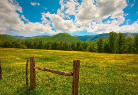 Landscape - flowers, clouds, field, mountains, sky