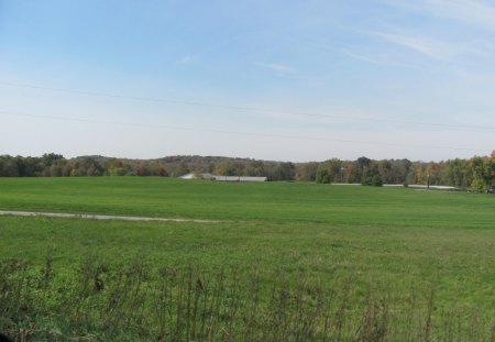 Amish Country - country road, horse, horse and buggy, amish country, amish, country