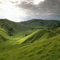 rolling hills of new zealand