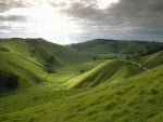 rolling hills of new zealand