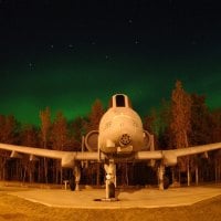 Airplane in the Forest