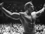 Arnold