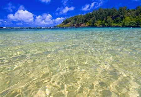 clear turquoise waters hawaii - clouds, trees, clear, sea, turquoise