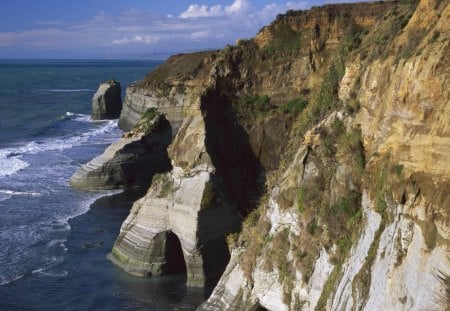 sculpted sandstone coast in new zealand - cliffs, coast, caves, sandstone, sea