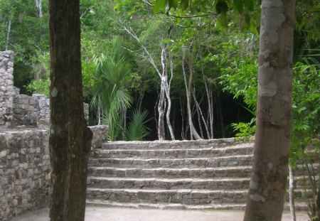 Mayan Ruins @ Coba - mayan, cancun, coba, mexico, ruins