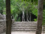 Mayan Ruins @ Coba