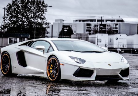 2012 sr Lamborghini Aventador project supremacy - 14, white, car, lamborghini, 2012, picture, 10