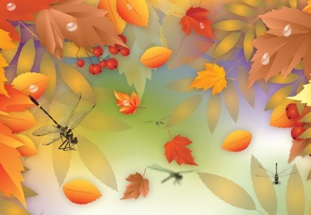 Autumn Bliss - mountain ash, light, maple, leaves, dew drops, fall, colorful, dragonflies, autumn, rain, sky, oak