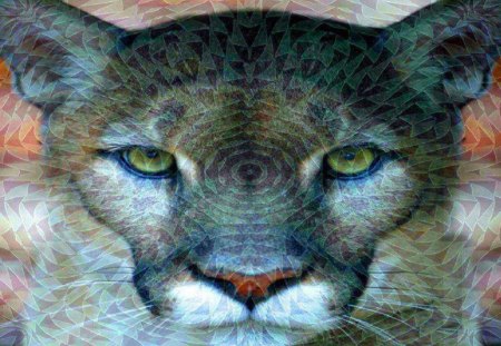 Abstract Cougar - abstract, textures, cats, cougar, animals