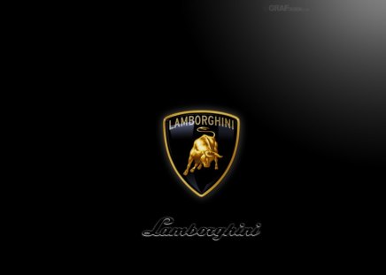 lamborghini - black, logo, hot, gold, lamborghini