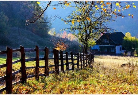 Autumn - autumn colors, splendor, landscape, forest, walk, leaves, path, view, autumn splendor, pathway, sky, woods, clouds, trees, beautiful, road, beauty, lovely, tree, carpet of leaves, nature, autumn, autumn leaves, peaceful